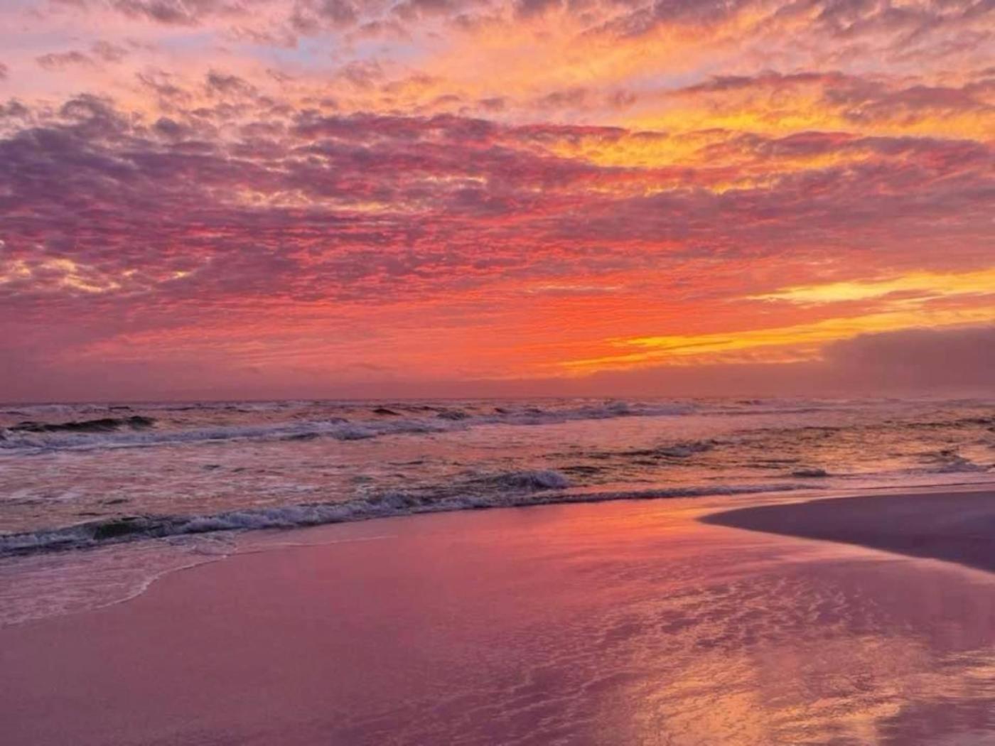 5 Star Resort 11Th Fl Stunning Sunrise 2Br 2Ba King Suite,Pools ,Shuttle Or Walk To Beach Destin Bagian luar foto